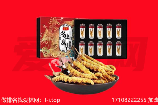 沧州市献市回收虫草.jpg